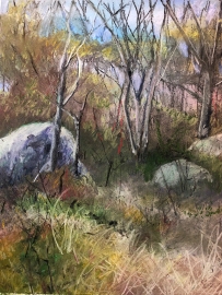 Dogtown Common, pastel on paper